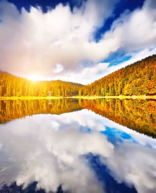 Sonbahar orman göl yansıma manzara. Orman Gölü sonbahar sezonu panorama ağaçlarda. Sonbahar sonbahar orman gölde.