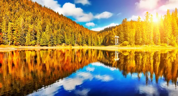 Jesień Las Jezioro Reflection Krajobraz Jezioro Las Drzew Sezonie Jesiennym — Zdjęcie stockowe