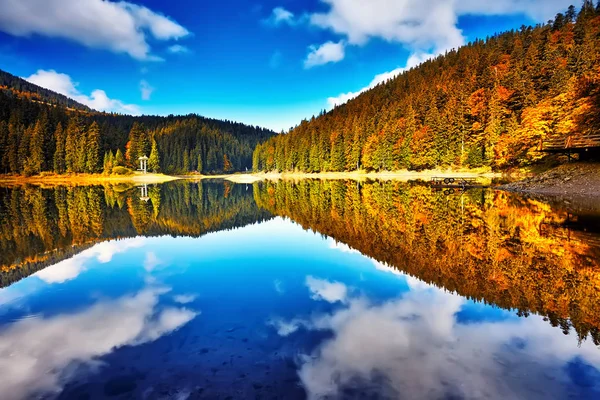 Die Reflexionslandschaft Des Waldsees Waldsee Bäume Herbst Saison Panorama — Stockfoto