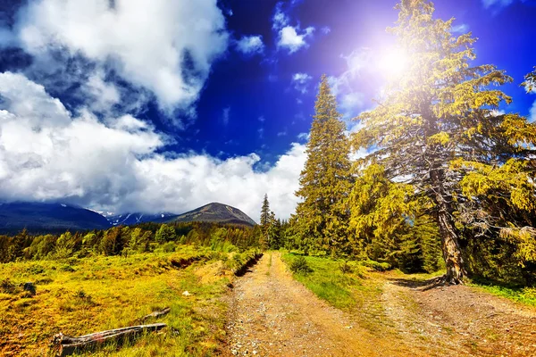 Paisagem Incrível Montanha Com Pôr Sol Vívido Colorido Céu Nublado — Fotografia de Stock