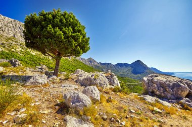 Adriyatik Denizi 'nin muhteşem manzarası güneş ışığı ve mavi gökyüzü altında. Dramatik ve resimli bir sahne. Sanatsal resim. Hırvatistan