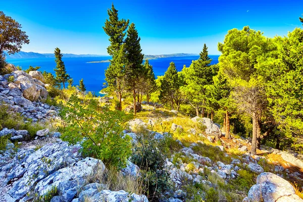 Panorama Incroyable Mer Adriatique Sous Lumière Soleil Ciel Bleu Scène — Photo