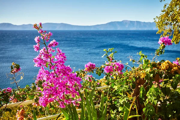 Soleada Escena Matutina Drvenik Beach Increíble Paisaje Marino Verano Del — Foto de Stock