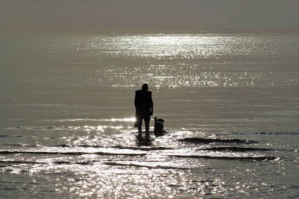 Sylwetka Mężczyzny Bawią Się Psem Plaży Blasku Wody — Zdjęcie stockowe