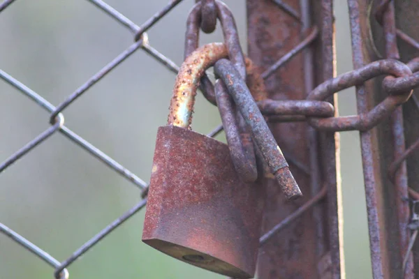 Nahaufnahme Eines Alten Metallzauns Isoliert Auf Grünem Hintergrund Sicherheitskonzept — Stockfoto