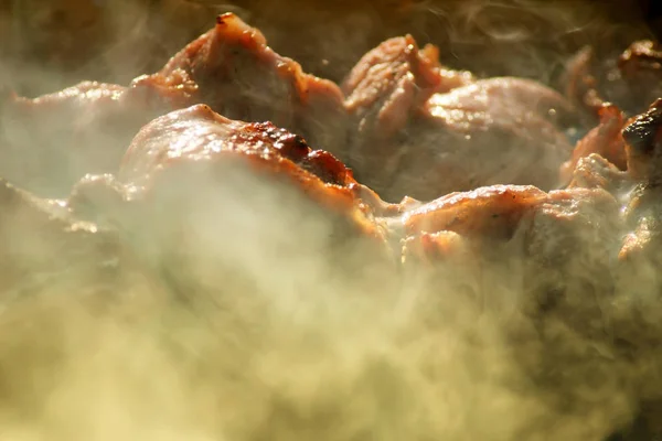 Matlagning Grill Grillen Med Rök — Stockfoto