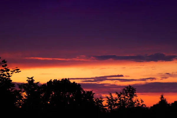 Beautiful Color Dramatic Sunset Evening Sky Silhouettes Treetops — Stock Photo, Image