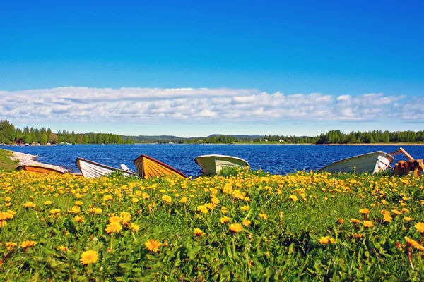 Naturskön Utsikt Över Sjön Solig Dag Sommaren Båtar Stranden Blått — Stockfoto