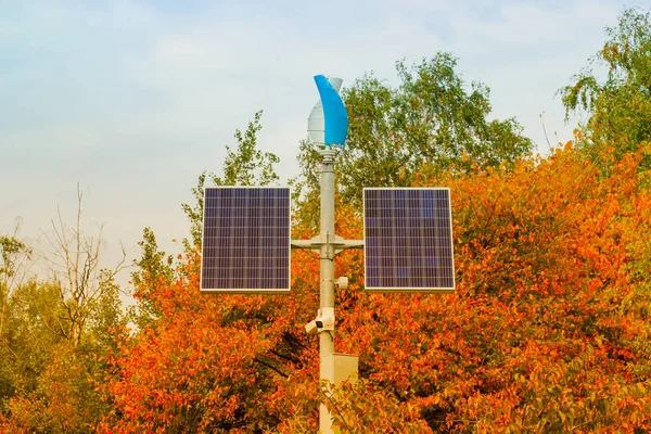 Solar panels  in a park isolated on orange tree background. Energy saving and autumn concept
