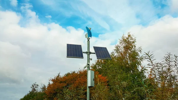 木の背景に隔離された公園内の太陽電池パネル 省エネコンセプト ストック画像