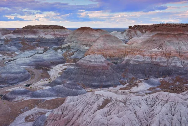 Nature Painted Desert Petrified Forest National Park Arizona Usa — Stock Photo, Image