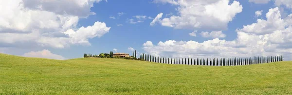 Cipreste Prado Com Casa Típica Toscana Val Orcia Itália Toscana — Fotografia de Stock