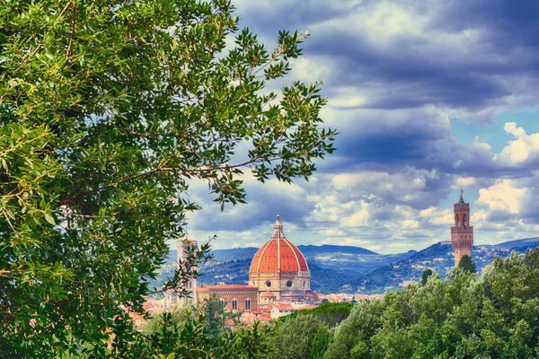 Duomo Santa Maria Del Fiore Torre Del Palazzo Vecchio Florencia — Foto de Stock