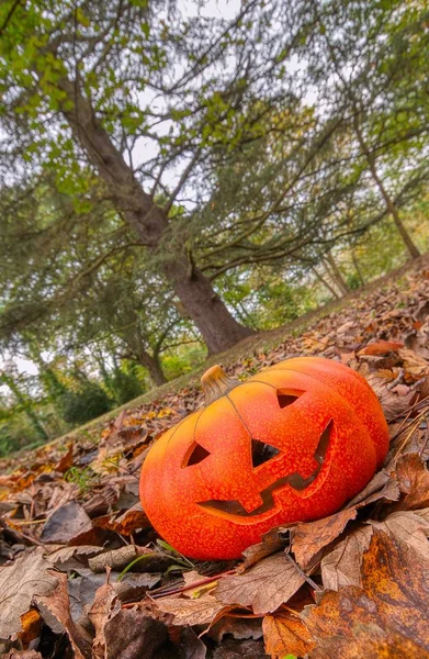 Abóbora Assustadora Halloween Com Sorriso Floresta Outono — Fotografia de Stock