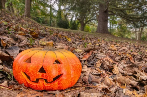 Halloween Straszna Dynia Uśmiechem Jesiennym Lesie — Zdjęcie stockowe