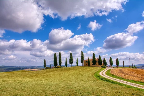 Cipressi e prato con tipica casa toscana . — Foto Stock