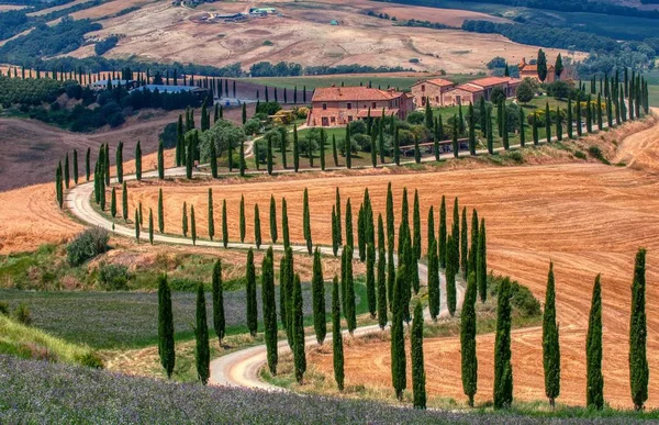 Cipressi e prato con tipica casa toscana . — Foto Stock