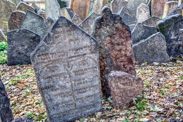 Mezar taşları üzerinde Prag Yahudi Mahallesi eski Yahudi Mezarlığı. — Stok fotoğraf