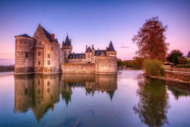 Ünlü ortaçağ kalesi Sully sur Loire, Loire vadisi, Fransa.