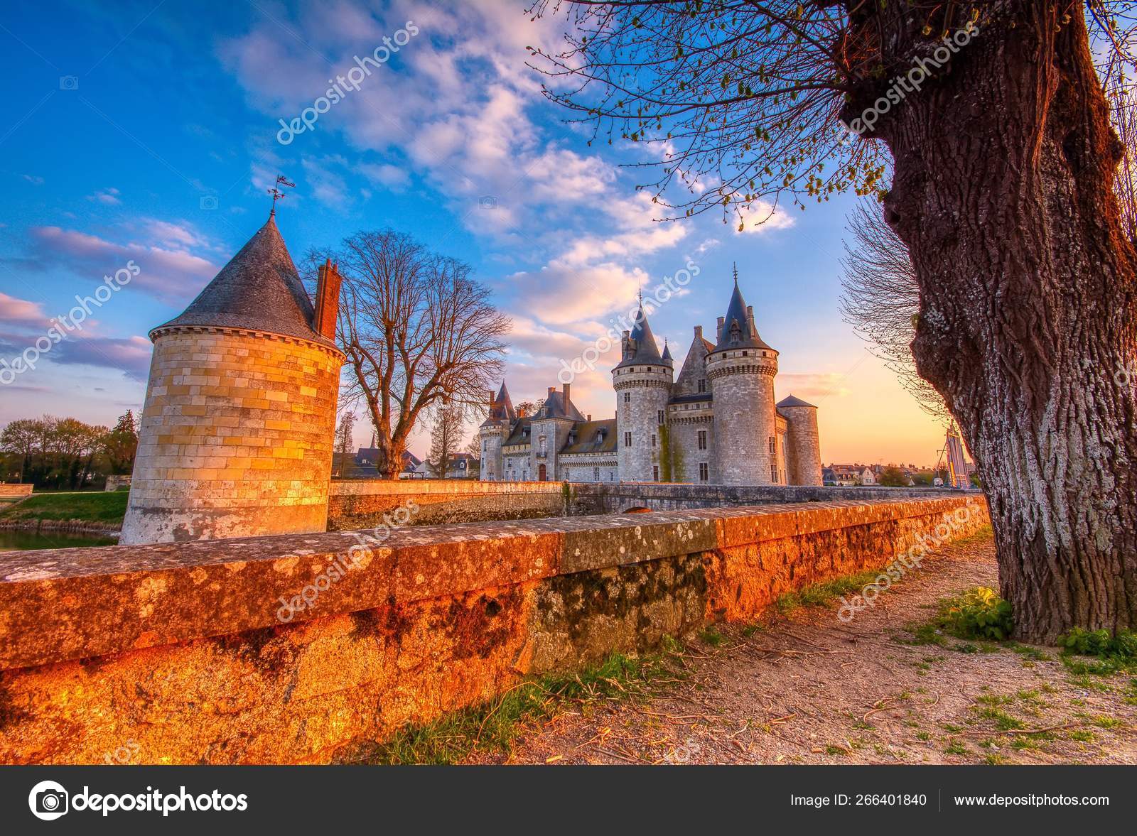 Château Sully Sur Loire Vallée De La Loire France