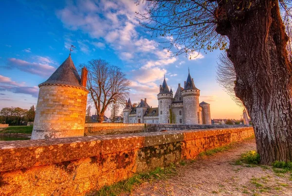 Castillo Sully sur Loire, Valle del Loira, Francia . —  Fotos de Stock