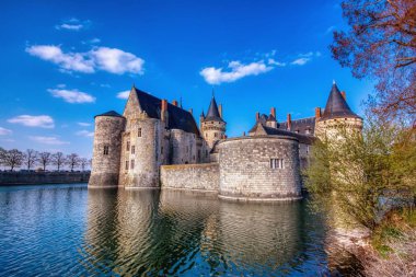 Ünlü ortaçağ kalesi Sully sur Loire, Loire vadisi, Fransa.