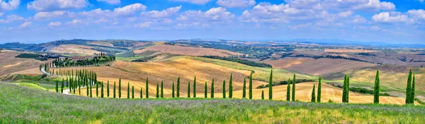 Tuscany Italy July 2018 Cypress Trees Meadow Typical Tuscan House — Stock Photo, Image