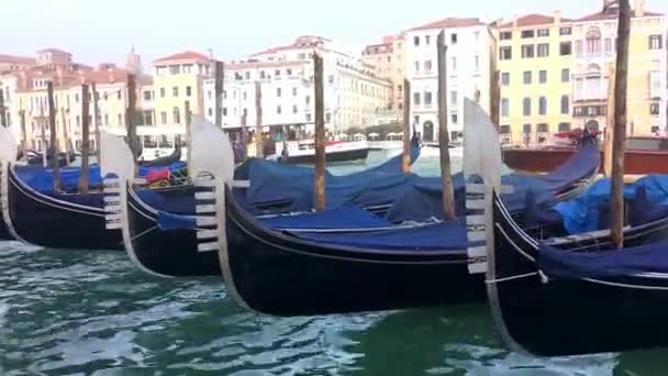 Barcos Gôndola Tradicionais Atracados Veneza Itália — Vídeo de Stock