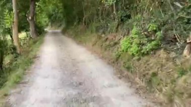 İlkbaharda Lena Kilisesi Aziz Christine 'in dış görünüşü. Santa Cristina de Lena, İspanya 'nın Asturias kentinde bulunan Roma öncesi Katolik kilisesidir..