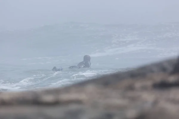 2018年4月 ニュージャージー海岸沖で霧の多い大西洋に出るサーファー — ストック写真