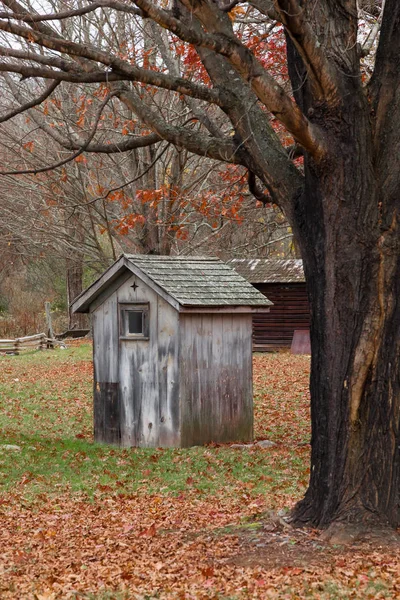 Old Shed Sits Tree Farm Autumn — Stock Photo, Image