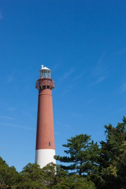Tarihi Barnegat deniz feneri görünümünü Long Beach Adası. Eski Barney bilinen.