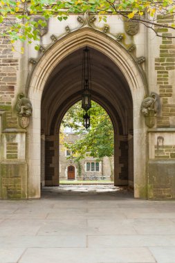 Princeton Üniversitesi sonbaharda kemerler