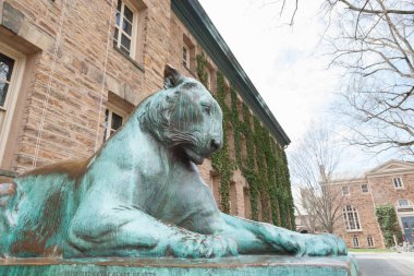 Nassau salonu Princeton Üniversitesi tarihinde ön bronz kaplan ayrıntılarını Princeton, New Jersey - 14 Nisan 2017: