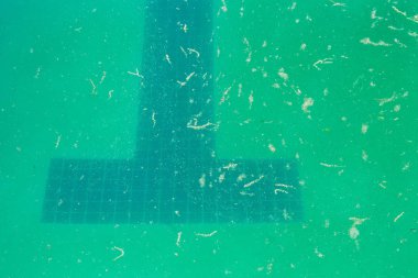 Lane işaretleri bir karanlık, kirli havuzu alt kısmında görülür