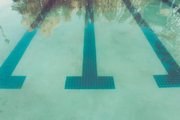 Lane markers are seen at the bottom of a murky, dirty pool