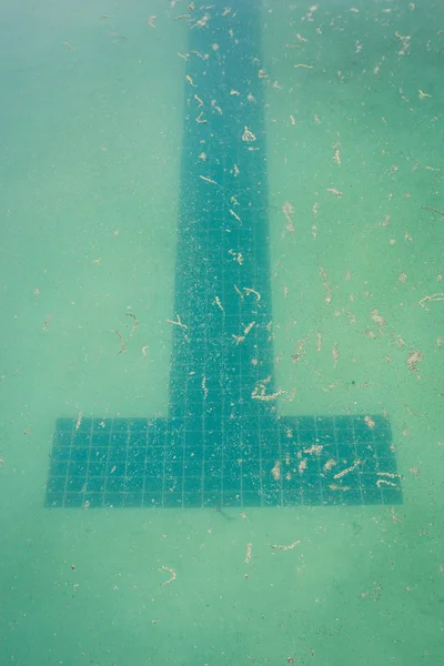 Marcadores Carril Ven Fondo Una Piscina Turbia Sucia —  Fotos de Stock