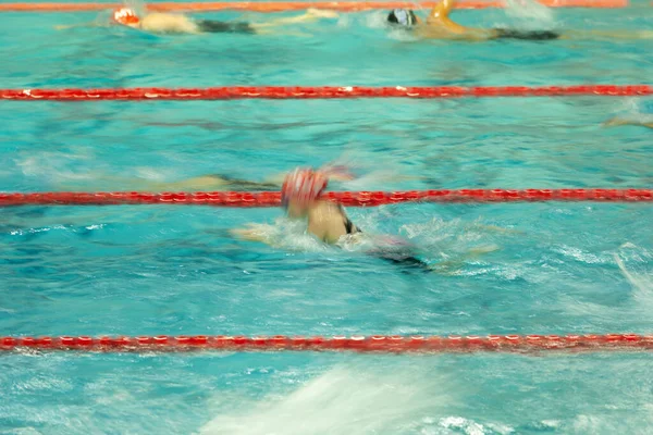 Nadadores Competitivos Aquecem Numa Piscina Antes Das Corridas Imagem Foi — Fotografia de Stock