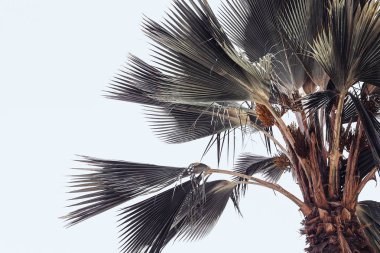 J3 ön ayarlı VSCO ile işlendi