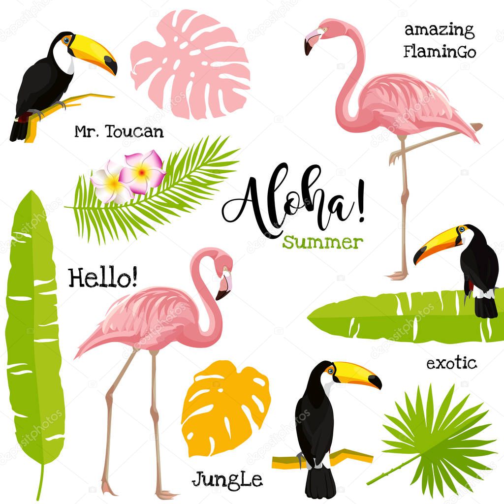 Poster with toucan, flamingo and palm leaves. Tropical elements vector illustration