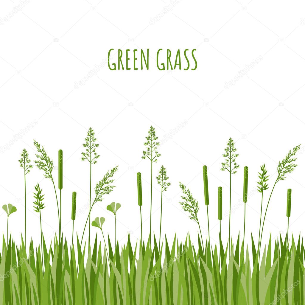 Simple green grass vector illustration. Seamless grass border