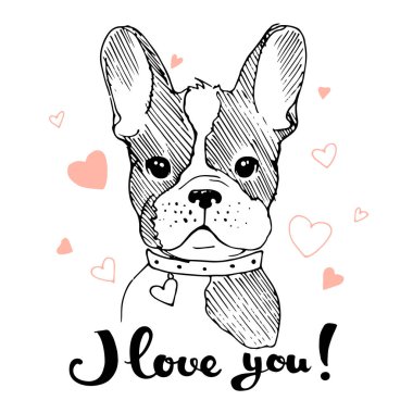Elle çizilmiş sevimli köpek portre. Vektör çizim. Baskı t shirt, kartları, Bardaklar için