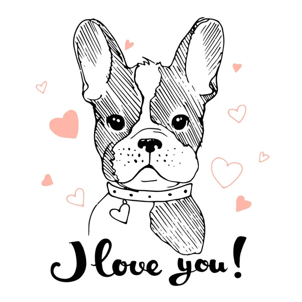 Hand drawn cute dog portrait. Vector illustration. Print for t shirts, cards, cups — Stock Vector