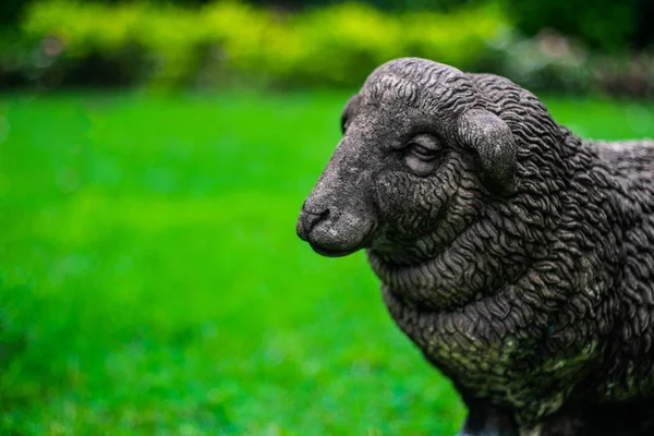 Sculpture of sheep  on greenery blurred background, selective focus.