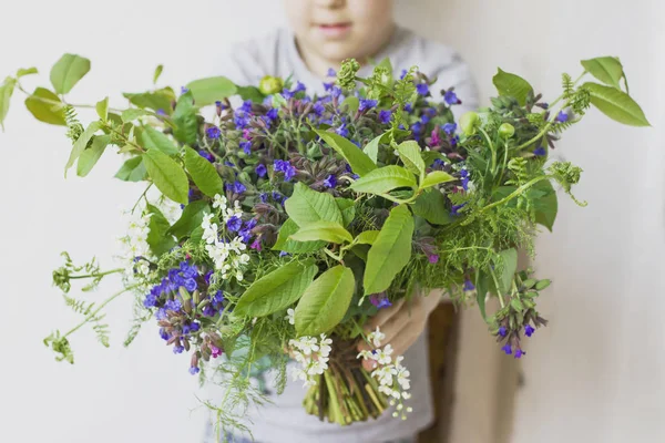 Wild forest meadow bouquet of cherry, lungwort, wild herbs in children\'s hands on a white background