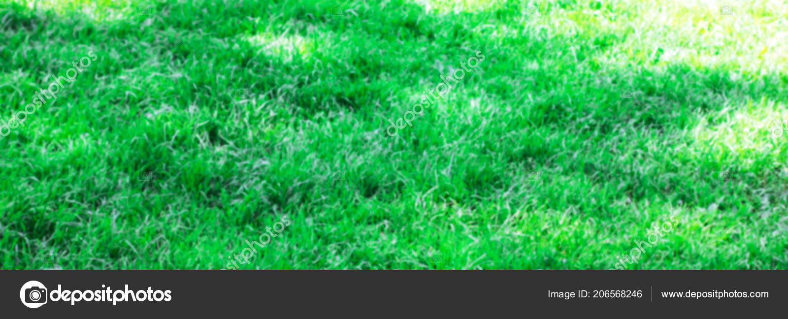 緑の芝生がぼやけて背景テクスチャ 水平型バナー ストック写真 C Galinazhigalova