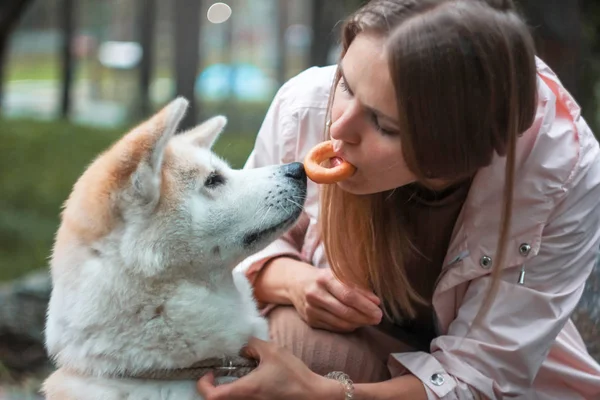 Młoda Kobieta Jej Pies Japoński Akita Inu Jedzenia Jeden Obwarzanek — Zdjęcie stockowe