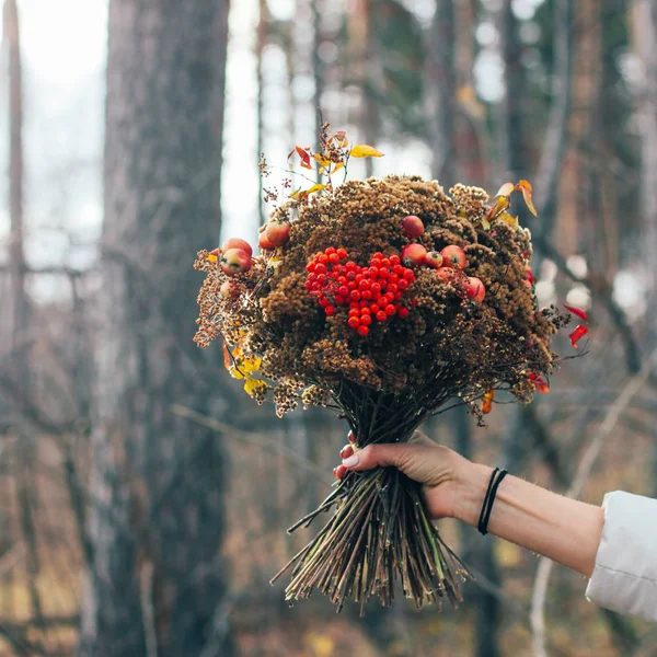 Autumn Winter Forest Dried Bouquet Woman Hands Diy — Stock Photo, Image