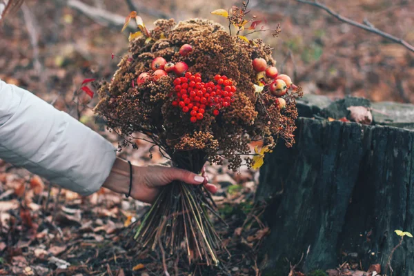 Otoño Bosque Invierno Seco Ramo Manos Mujer Bricolaje — Foto de Stock