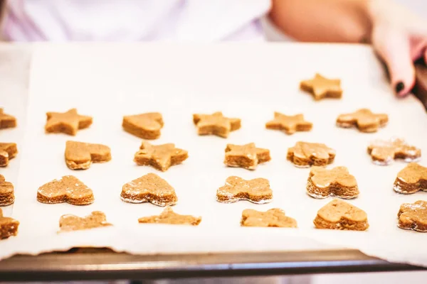 Raw ginger cookies on baking sheet in woman hands